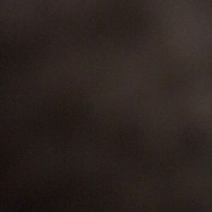 Meet your Posher, Janell